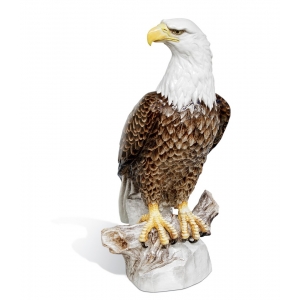  Bald Eagle, H 78 cm