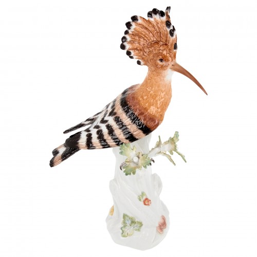 Hoopoe