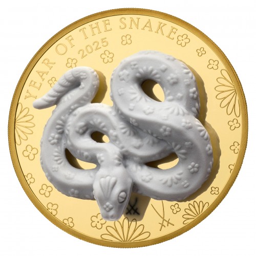 Gold Coin  Year of The Snake