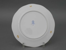 Dinner Plate