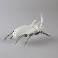 Rhinoceros Beetle Figurine. Matte White