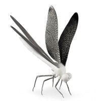 Dragon-fly Figurine. Matte White