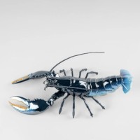 Lobster Sculpture. Blue