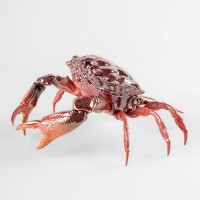 Crab Sculpture. Red