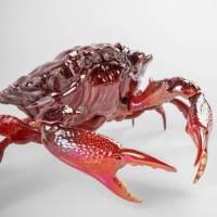 Crab Sculpture. Red