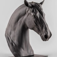 Equinus Sculpture