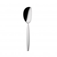 Gourmet spoon