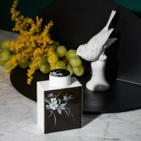 TEA CADDY, TITMOUSE ON SPRAYS OF FLOWERING CHERRY