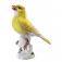  Canary, Coloured, without gold, H 11 cm