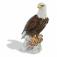 Bald Eagle, H 32 cm