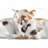 Pair of cats, Coloured, without gold, H 4,5 cm