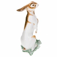 Hare