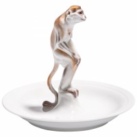 Long-Tailed Monkey on Dish