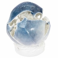 Сфера из скатов