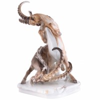 Альпийские козлы