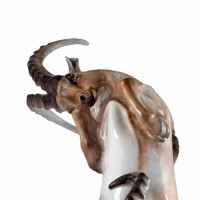 Альпийские козлы