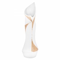 Vase Lending shape to Elegance