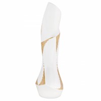 Vase Lending shape to Elegance