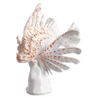 Red Lionfish, LE, with gold