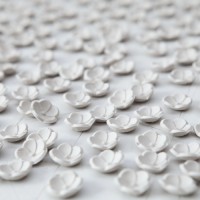 Может ли снежный ком расцвести