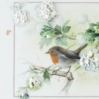 Wall Painting Robin on snowball blossom