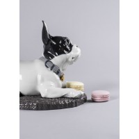 French Bulldog with Macarons