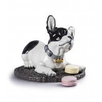 French Bulldog with Macarons