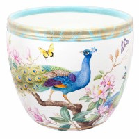 Orangery tub Peacocks and pheasants