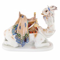 Riding camel lying