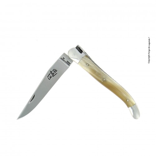 Folding knife, 10 cm, high polished finish with brass bolsters and