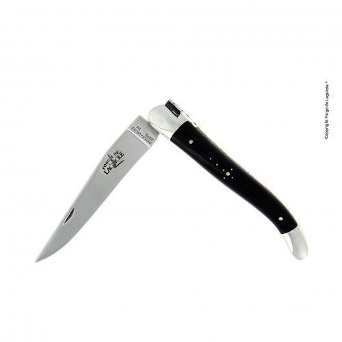 Folding knife, 11 cm, satin finish with stainless steel bolsters Folding knife, 11 cm, satin finish with stainless steel bolsters