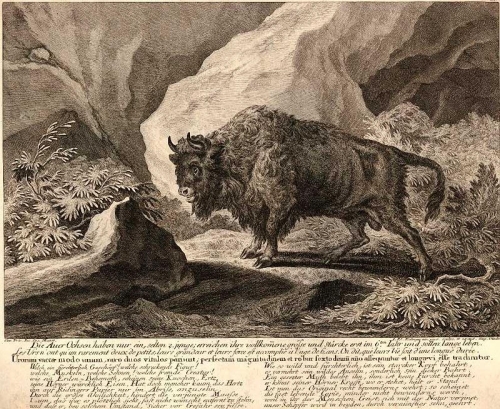 Август Сильный