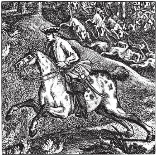 Август Сильный