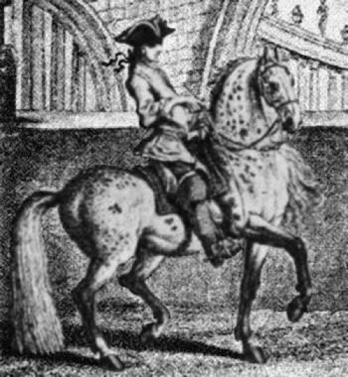 Август Сильный