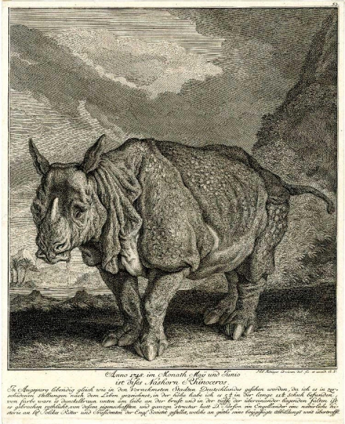 Август Сильный