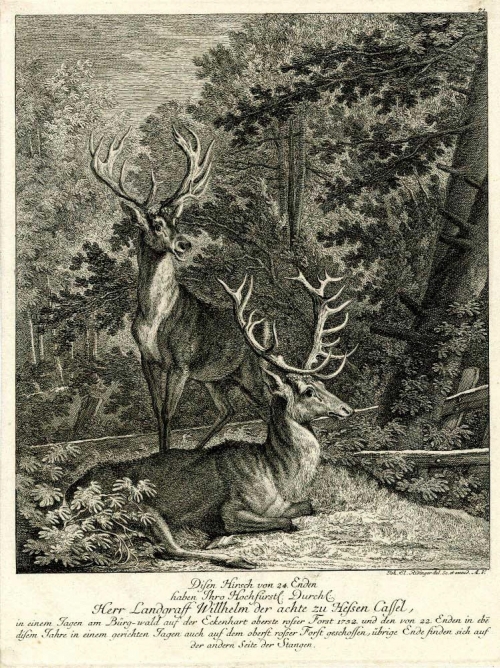 Август Сильный