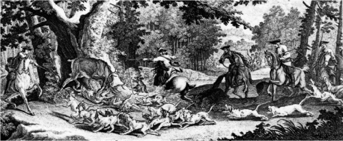 Август Сильный